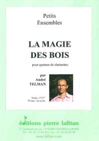 La Magie Des Bois