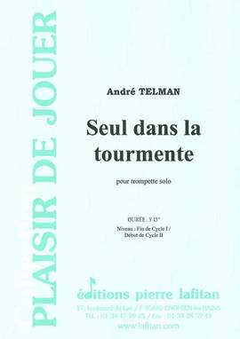 Seul Dans la Tourmente