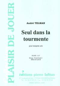 Seul Dans la Tourmente