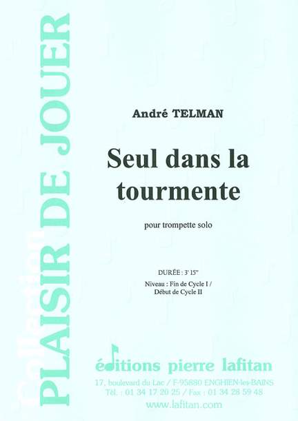 Seul Dans la Tourmente
