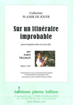 Sur Un Itinéraire Improbable