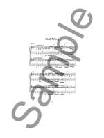 Blazing Mandolin Solos Product Image