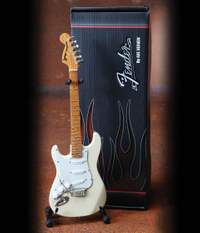 Fender™ Stratocaster™ - Reverse Headstock Finish