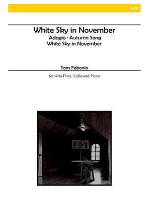 Tom Febonio: White Sky In November