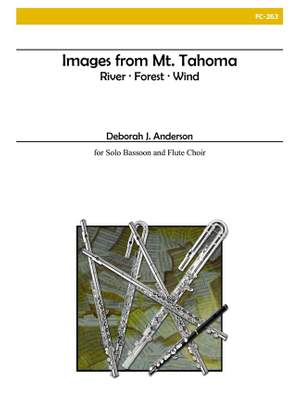 Deborah J. Anderson: Images From Mt. Tahoma