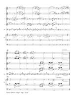 Tomaso Albinoni: Adagio For Flute Choir and Organ Product Image