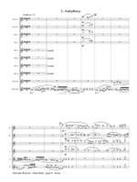 Salvador Brotons: Flute Suite, Opus 41 Product Image