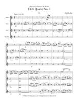 Carl Derfler: Flute Quartet No. 1 Product Image