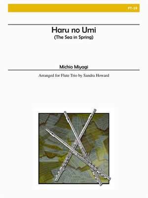 Michio Miyagi: Haru No Umi
