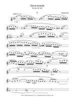 David Loeb: Snowsounds Product Image