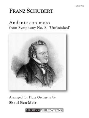 Franz Schubert: Andante Con Moto From Symphony No. 8