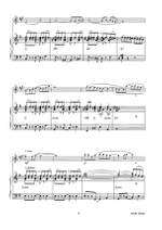 Leo Thys: Clarinettango Product Image