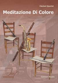 Gaston Nuyts: Meditazione Di Colore