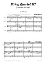 Hendrik de Regt: String Quartet 3 Product Image