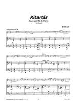 Erik Buyle: Kitartas Product Image