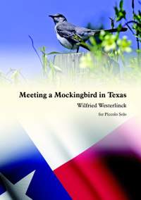 Wilfried Westerlinck: Meeting A Mockingbird In Texas