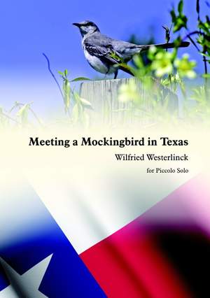 Wilfried Westerlinck: Meeting A Mockingbird In Texas