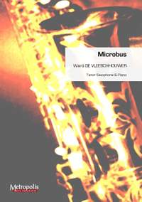 Ward de Vleeschhouwer: Microbus