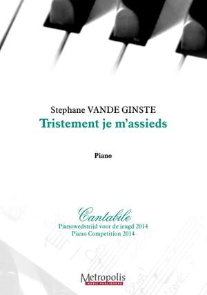Stéphane Vande Ginste: Tristement Je MAssieds