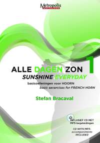 Stefan Bracaval: Sunshine Everyday - 1 Hrn
