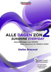 Stefan Bracaval: Sunshine Everyday - 2 Hrn
