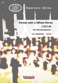 Yuki Takizawa: Forest With A White Horse