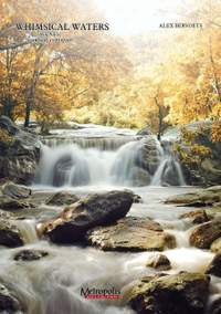 Alex Bervoets: Whimsical Waters