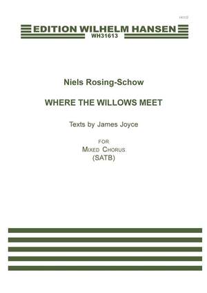 Niels Rosing-Schow_James Joyce: Where the Willows Meet