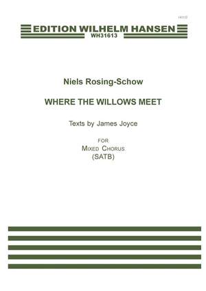 Niels Rosing-Schow_James Joyce: Where the Willows Meet
