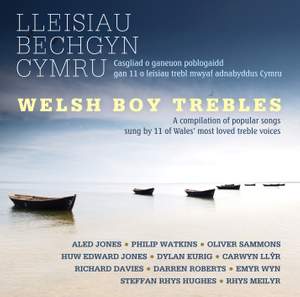 Welsh Boy Trebles