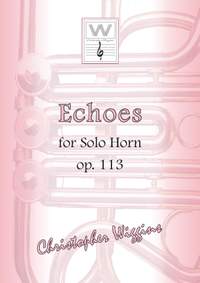 Christopher Wiggins: Echoes op. 113