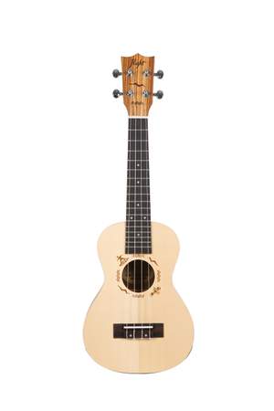 DUC525 Concert Solid Top Ukulele - Zebrano B&S
