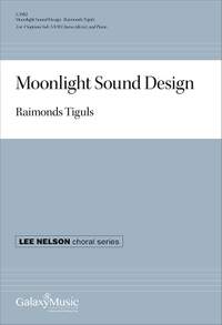 Raimonds Tiguls: Moonlight Sound Design