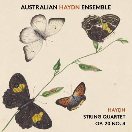 Haydn: String Quartet, Op. 20 No. 4 in D major 'Sun'