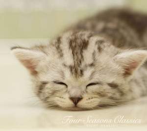 Four Seasons Classics 10 Night/Healing EMD