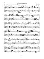 The Flute Audition Product Image