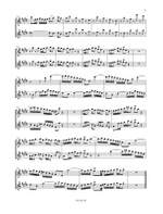 The Flute Audition Product Image