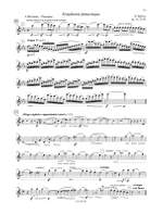The Flute Audition Product Image