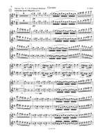 The Flute Audition Product Image
