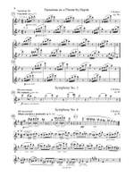 The Flute Audition Product Image