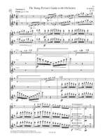 The Flute Audition Product Image