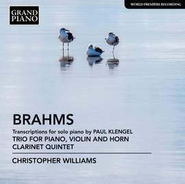 Brahms: Transcriptions for Solo Piano by Paul Klenge