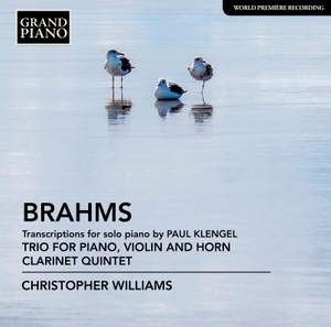 Brahms: Transcriptions for Solo Piano by Paul Klenge