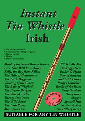 Dave Mallinson: Instant Tin Whistle Irish