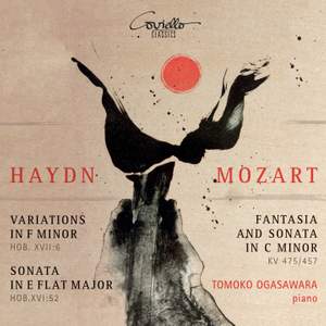 Haydn & Mozart: Piano Works