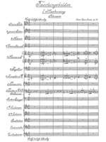 Nicodé, Jean Louis: Faschingsbilder (Carnival Pictures) Op. 24 for orchestra Product Image