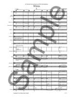 Bryce Dessner: Wires Product Image
