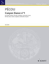 Pécou, T: Canyon Dance n°1