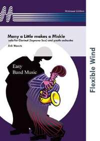 Erik Waerts: Many a Little makes a Mickle