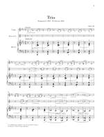 Johannes Brahms: Horn Trio E Flat Major Op. 40 (Score/Parts) Product Image